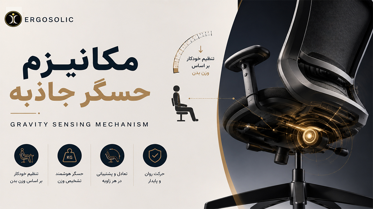 مکانیزم حسگر جاذبه Gravity Sensing Mechanism