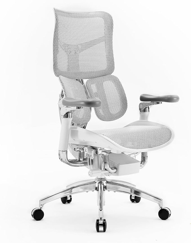 صندلی ارگونومیک SIHOO S300